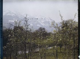 Image représentant Panorama sur la rivière de Sarnen avec des arbres en fleurs