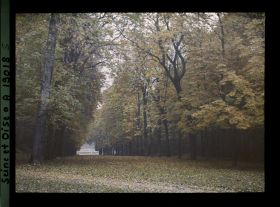 Image représentant Allée de la Félicité dans le parc ?