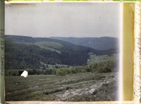 Image représentant Alsace, Houhneck, Les pâturages vus des pentes Sud-Ouest du Honhneck