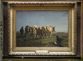 Image représentant Le tableau "Boeufs au labour" de Constant Troyon, musée des Beaux-Arts