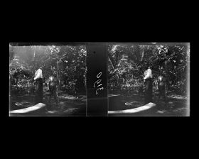 Image représentant Une femme et un homme cingalais près d'un puits dans un jardin?