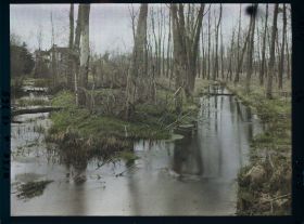Image représentant France, Marest, Guerre Vue du Matz, petite rivière que les Allemands ne peuvent franchir en 1918 (très marécageux)