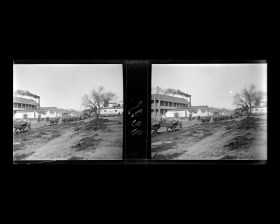 Image représentant Une caravane de chameaux de Bactriane sur Wangfujing dajie ("avenue du Puits des Résidences Princières")