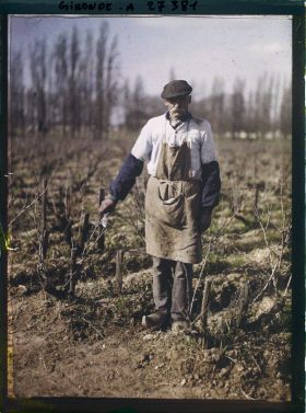 Image représentant France, Blanquefort, Ouvrier occupé à tailler la Vigne (Coupe de janvier)