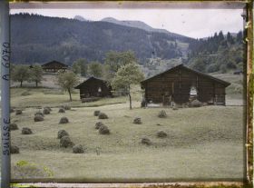 Image représentant Chalets et meules de foin à Grindelwald
