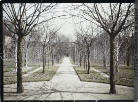 Image représentant Axe central du verger-roseraie vu en direction du jardin anglais depuis le rond-point côté dépendance
