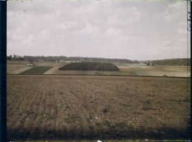 Image représentant Ile de France, Sarcelle St Briec, Les Cultures sur les Cotes de Sarcelles
