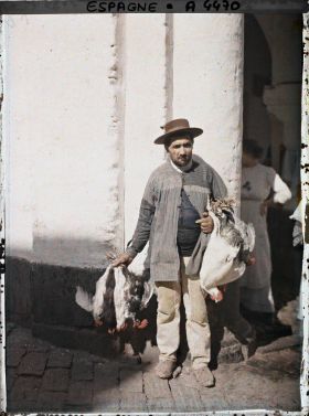 Image représentant Espagne, Cordoue, Marchand de Volailles (Gitano)