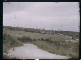 Image représentant France, Verdun, L'ensemble des arbres morts des Casernes Marceau