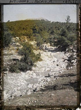 Image représentant Maquis