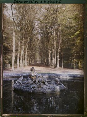Image représentant France, Versailles, Parc de Versailles - Contre-allée du Tapis Vert