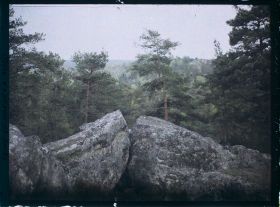 Image représentant France, Fontainebleau, Forêt de Fontainebleau