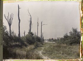 Image représentant Belgique, Font d'Houthulst, Ferme reconstruite à la lisière Sud de la font