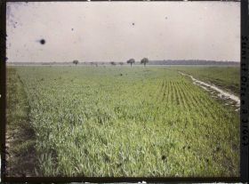 Image représentant France , Trappes (Seine et Oise), Deux Champs de blé, vue prise de la Voie ferrée