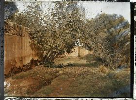 Image représentant Une partie des jardins du Dar el Maghzen