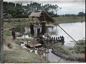 Image représentant Des enfants utilisant une machine à pied, système élévatoire d'eau pour l'irrigation du riz