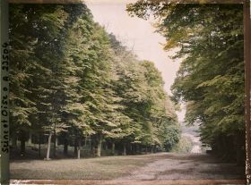 Image représentant L'allée du Fer à Cheval dans le parc