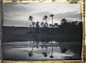 Image représentant Effet de lumière dans la palmeraie, le soir