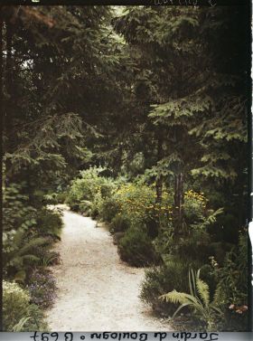 Image représentant La forêt vosgienne