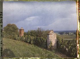 Image représentant Cheminées de maisons troglodytes entourées de vignes