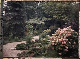 Image représentant Parterre fleuri au bord d'une allée du " sanctuaire japonais ", située près du temple
