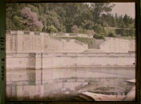 Image représentant Les jardins de la Fontaine avec les arbres de Judée en fleurs