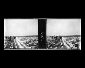 Image représentant La caravane d'ânes et un troupeau de chameaux