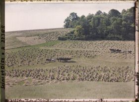 Image représentant France, Beynes, Le Chargement du foin près du Village