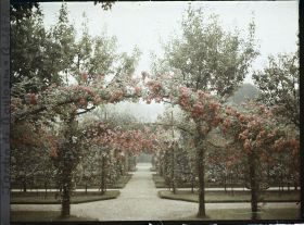 Image représentant Axe central du verger-roseraie vu vers le jardin anglais, depuis le second carrefour côté dépendance