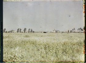 Image représentant Belgique, Font d'Houthulst, Vue générale d' Houthulst partie Sud