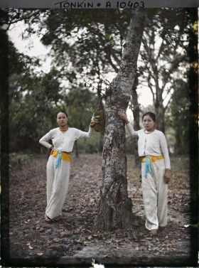 Image représentant Deux jeunes femmes saïgonnaises, en vêtements de dessous, appuyées à un arbre