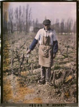 Image représentant France, Blanquefort, Ouvrier occupé à tailler la Vigne (Coupe de janvier)