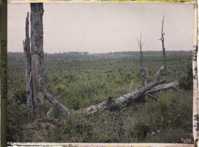 Image représentant France, Bois Brûlé, Le terrain en avant de la Tête-à-Vache