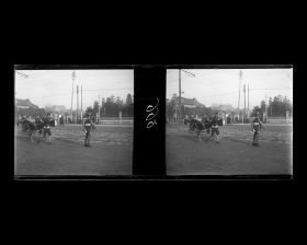 Image représentant Tireurs de jinrikisha aux abords de la Diète impériale (parlement)