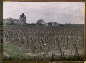 Image représentant France, Vignobles de la Gironde aux environs de Sauternes : Chau Climens, grand 1er Crû, vue d'ensemble.