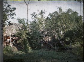 Image représentant Une maison au bord d'une mare recouverte de liseron d'eau dans un village