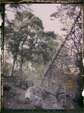 Image représentant France, Fontainebleau, Forêt de Fontainebleau