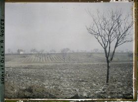 Image représentant France, Les Clayes, Champ sur la route de