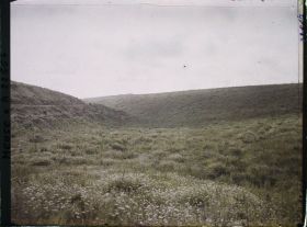 Image représentant France, Vaux, Ravin du Bazil entre le fort de Vaix et le fort de Douaumont