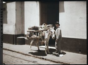 Image représentant Un marchand de légumes ambulant et son âne