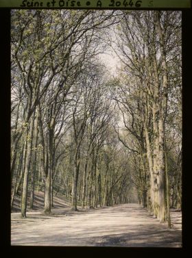 Image représentant Le parc, allée de Sèvres