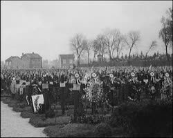 Image représentant Le grand cimetière militaire