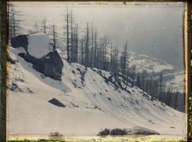 Image représentant France Les Alpes, Le Plan de l'Aiguille, Couloir d'avalanches de la Cornua (Couloir du Glacier des Pèlerins)