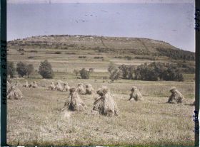 Image représentant France, Les Eparges, Ensemble de la Crête des Eparges, vue prise du ruisseau des Eparges.