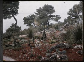 Image représentant Cap Martin - Le Jardin