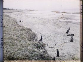 Image représentant Site palafittique préhistorique des Alpes, pieux en bois visibles lors de la baisse des eaux après la grande sécheresse de 1921
