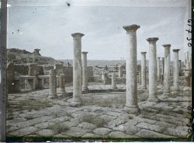 Image représentant Algérie, Timgad, Le petit marché