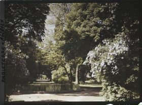 Image représentant Une allée du jardin botanique