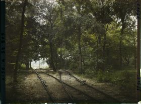 Image représentant France, Forêt de Compiègne, Voie du Chin de fer dans la forêt