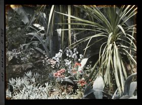 Image représentant le Jardin